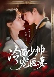 冷面少帅宠医妻(全集)