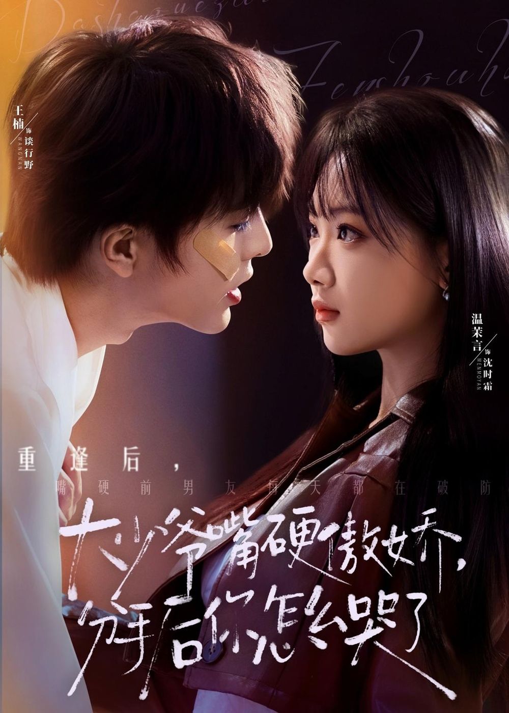 大少爷嘴硬傲娇，分手后你怎么哭了(全集)