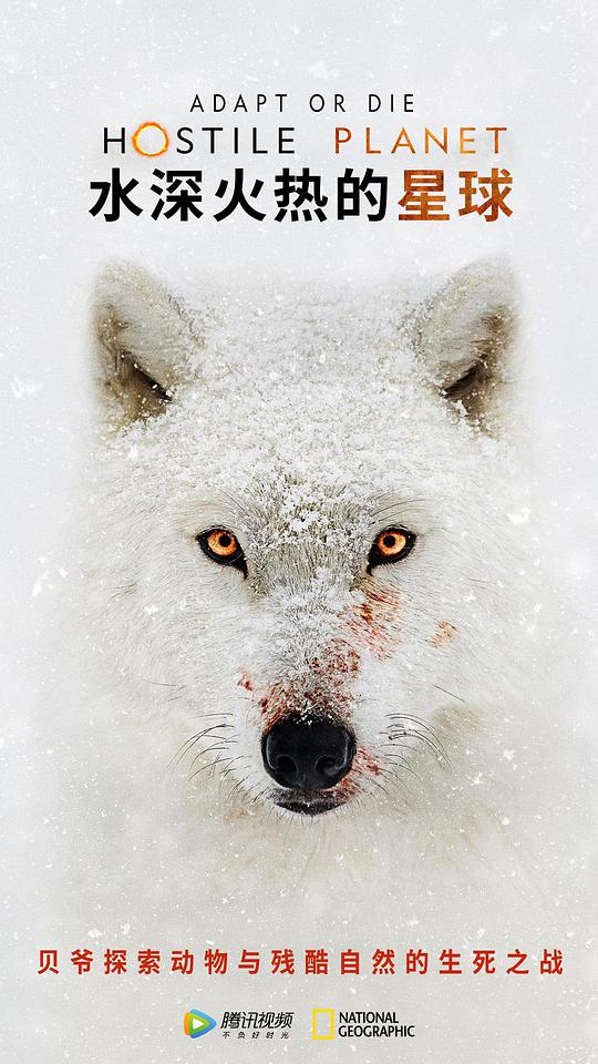 水深火热的星球第一季(全集)