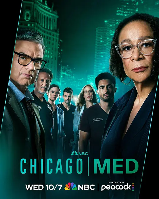 芝加哥急救第十二季(全集)